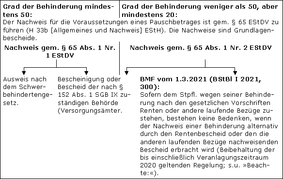 Nachweis der Behinderung