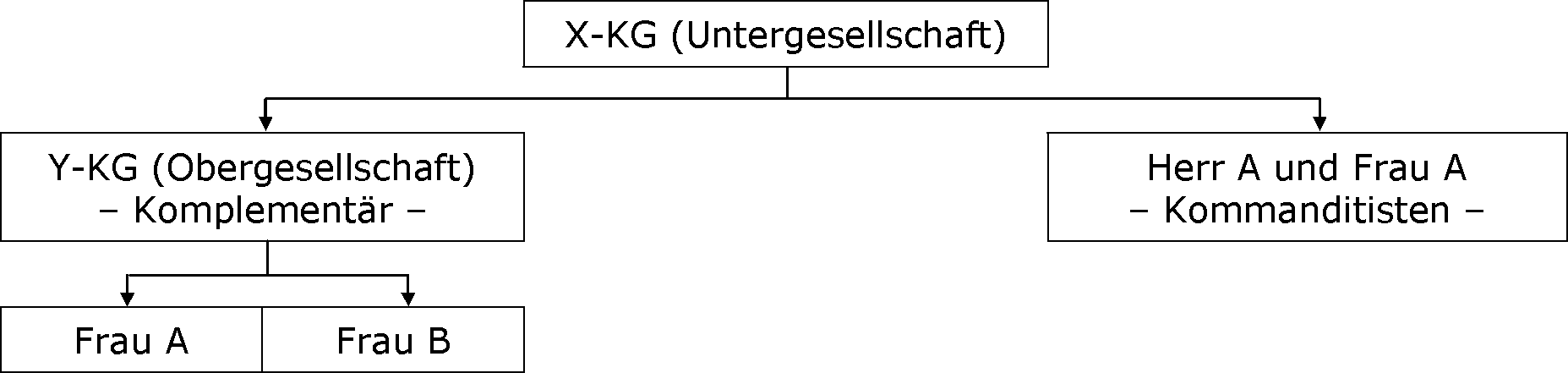 Historie/Entwicklung
