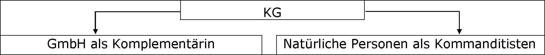Grundlagen der GmbH & Co. KG