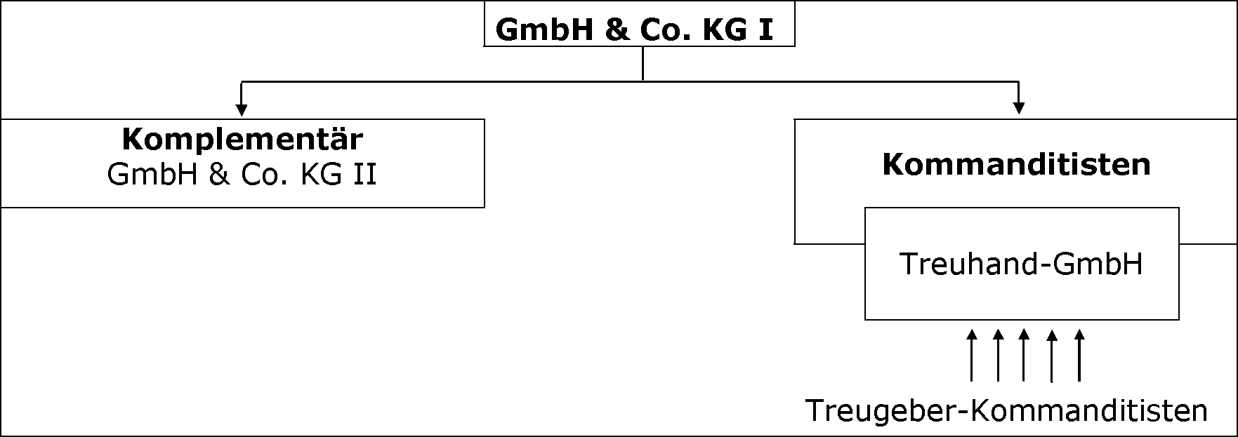 Der wirtschaftliche Prototyp der GmbH & Co. KG