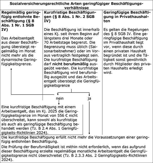 Die geringfügigen Beschäftigungsverhältnisse im Überblick